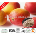 Natural African Mango Extract/African Mango seed Extract